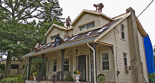 Professional Roofing Contractor in Dayton, MN